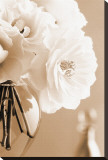 Roses in Sepia