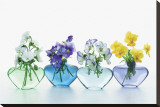 Pansy Party