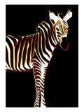 Zebra in Black Vertical