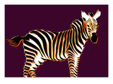 Zebra in Purple Horizontal