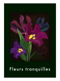 Tulip in Deep Green Giclee Print