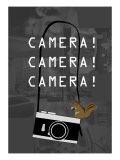 Camera Gray