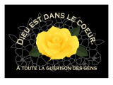 Rose Yellow Giclee Print