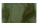 Nirvana: The Shape of the Plant Changes by the Wind