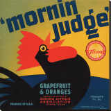 Mornin Judge Grapefruit and Oranges