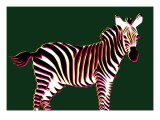 Zebra in Green Horizontal