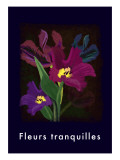 Tulip in Deep Blue Giclee Print