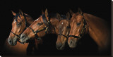 Family of Horses