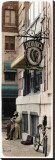 Street Musician