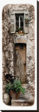 Doorway With Vines