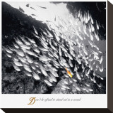 Buy Stand Out at AllPosters.com