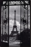 Paris View