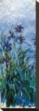 Buy Iris Mauve (detail) at AllPosters.com
