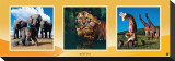 Buy Imaginary Safari at AllPosters.com
