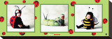 Buy Baby Bugs at AllPosters.com