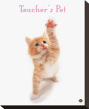 Buy Teacher's Pet at AllPosters.com