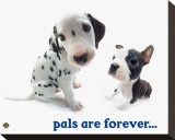 Pals Are Forever