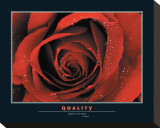 Buy Quality at AllPosters.com