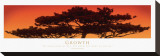Buy Growth at AllPosters.com