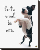 Buy Pants Would Be Nice at AllPosters.com