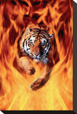 Bengal Tiger Jumping in Flames