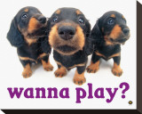 Buy Wanna Play? at AllPosters.com