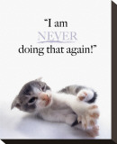 Buy I Am Never at AllPosters.com