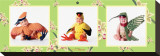 Buy Baby Birds at AllPosters.com