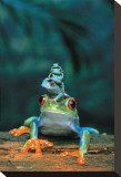 Frogs