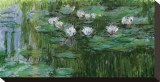 Buy Waterlilies at AllPosters.com