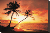 Buy Tropical Beach Sunset at AllPosters.com