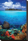 Buy Tropical Scenery I at AllPosters.com