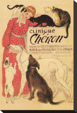 Clinique Cheron