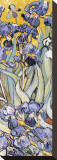 Buy Irises, Saint-Remy, c.1889 (detail) at AllPosters.com