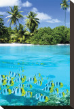 Buy Tropical Scenery II at AllPosters.com