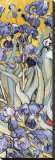 Irises, Saint-Remy, c.1889 (detail) Stretched Canvas Print