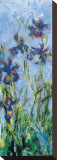 Buy Irises (detail) at AllPosters.com