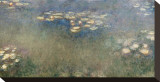 Buy Water Lilies at AllPosters.com