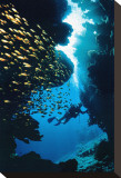 Buy Diving at AllPosters.com
