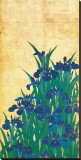 Irises, Japanese
