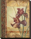 Buy Purple Irises at AllPosters.com