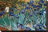 Buy Irises, Saint-Remy, c.1889 at AllPosters.com