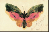 Butterfly Stretched Canvas Print
