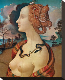 Buy Rittrato di Simonetta Vespucci at AllPosters.com