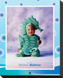 Buy Baby Seahorse at AllPosters.com