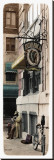 Street Musician