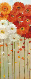 Buy Daisies Fall II at AllPosters.com