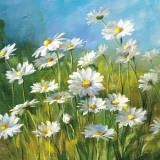 Summer Field II