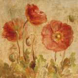 Buy Summer Poppies I at AllPosters.com