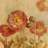 Buy Summer Poppies II at AllPosters.com